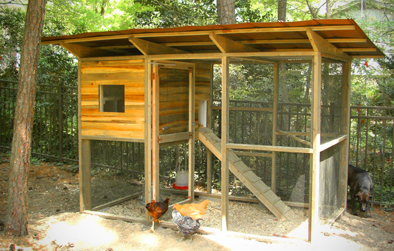 Copper-Top Chicken Coop ::: Coop Thoughts Blog