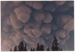 Augustine ash cloud Thren09 Tags cloud alaska volcano homer ash augustine