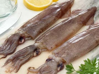 Ikan Sotong