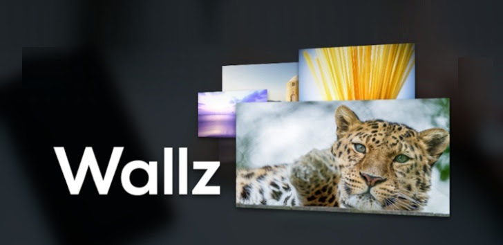 Wallz Pro: Wallpaper APP v1.1.2 APK