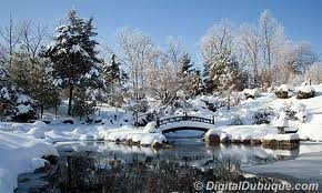 smithsonian botanical gardens Winter at the Arboritum | 290 x 174 · 32 kB · jpeg