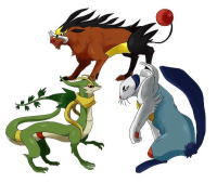 ガセ情報 ポケットモンスターブラック ホワイト攻略