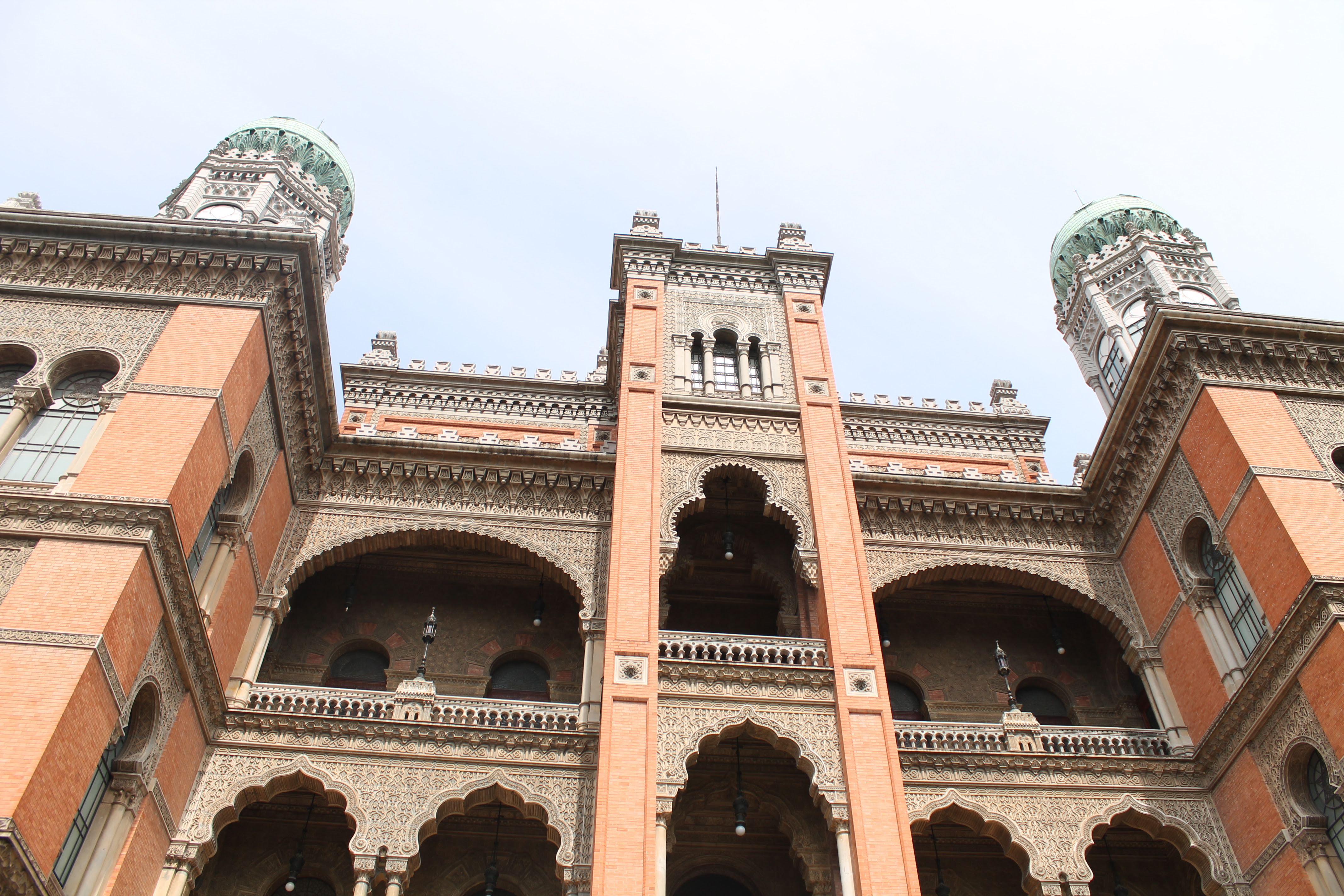 Venha celebrar o cérebro no MV!