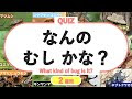 虫クイズ 大人 843146-虫クイズ 大人
