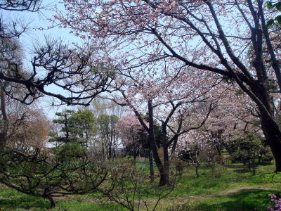 小さな発想で