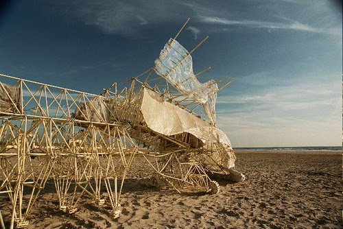 animals%20at%20the%20beach%202