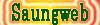 Saung Web