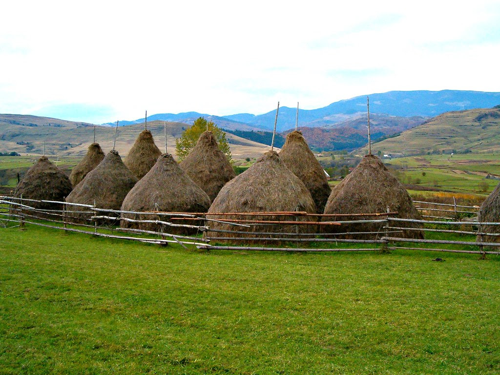 Răchiţele, Cluj County, Transylvania, Romania: Apuseni Mtns.