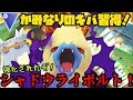 いろいろ かみなり ポケモ���go 314688-ポケモンgo 雷 対��