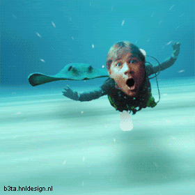 Funny Animated GIFs Part 51