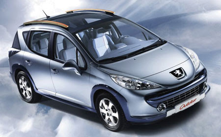2008 Peugeot 207 Serie 64. peugeot station wagon