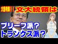 [最も好ましい] ブリーフ派 266193-ブリーフ派 20代