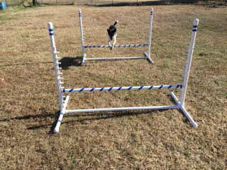 Build A Bar Jump From Pvc Smart Dogs Blog