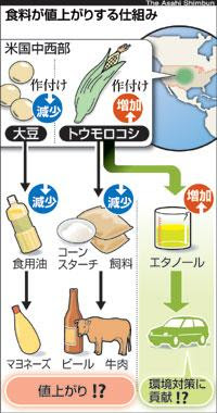 Asahi Com バイオ燃料 食卓に波風 原材料 品薄で高騰 マヨネーズ値上げ ビール 牛肉も この記事を手がかりに ｎｉｅ 教育