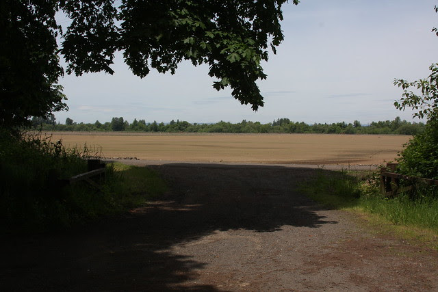 Grand Island State Park