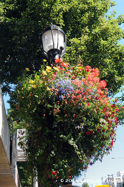 Flower basket outside Bakery Nouveau