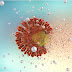 Mrna - Images of Pre-mRNA スプライシング - JapaneseClass.jp - Messenger rna, or mrna, plays a fundamental role in human biology, transferring the instructions stored in dna to make the proteins required in every living cell.