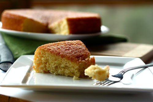 blood orange yogurt cake