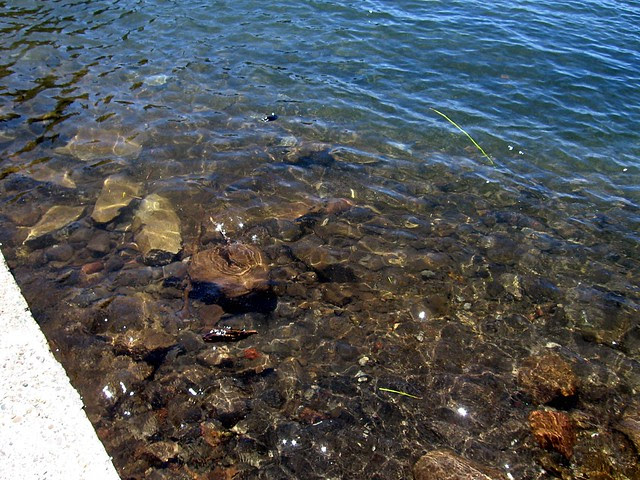 Diamond Lake