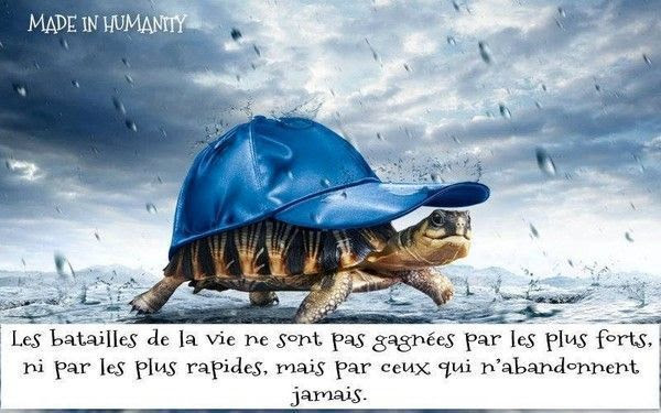 Citation