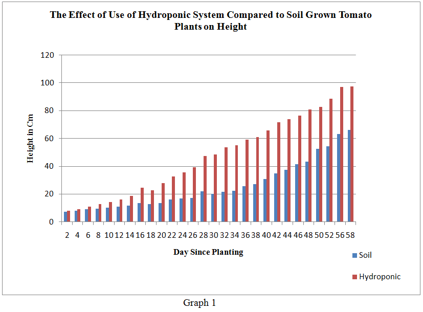 Hydroponic Systems: How They Work and How To Build Your Own