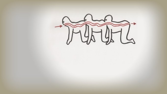The Human Centipede (First Sequence) film completo italiano cineblog
Scarica in linea altadefinizione01 2009