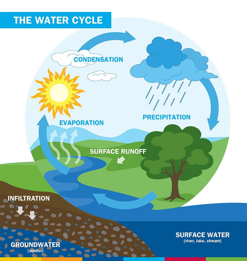 Wednesday 3/25: The Water Cycle - Club SciKidz ...