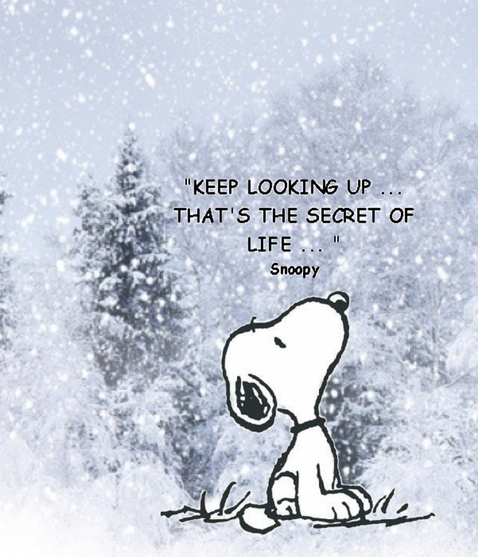 keep looking up