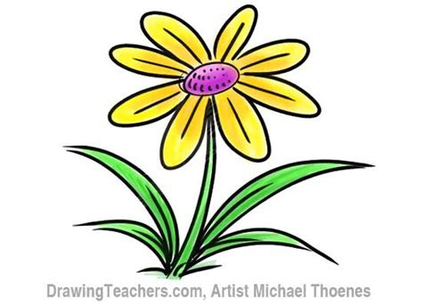cartoon flower   draw  flower step  step