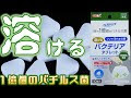 [10000印刷√] 水槽 フン 分解 バクテリア 233523-水槽 フン 分解 バクテリア