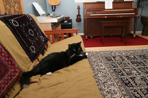 Photoshoot With Jasper!