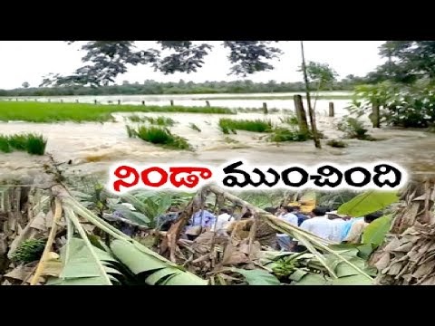 రైతుల పాలిట శాపంగా మారిన ప్రకృతి ప్రకోపం | Farmers Severely Affected by Heavy Rains