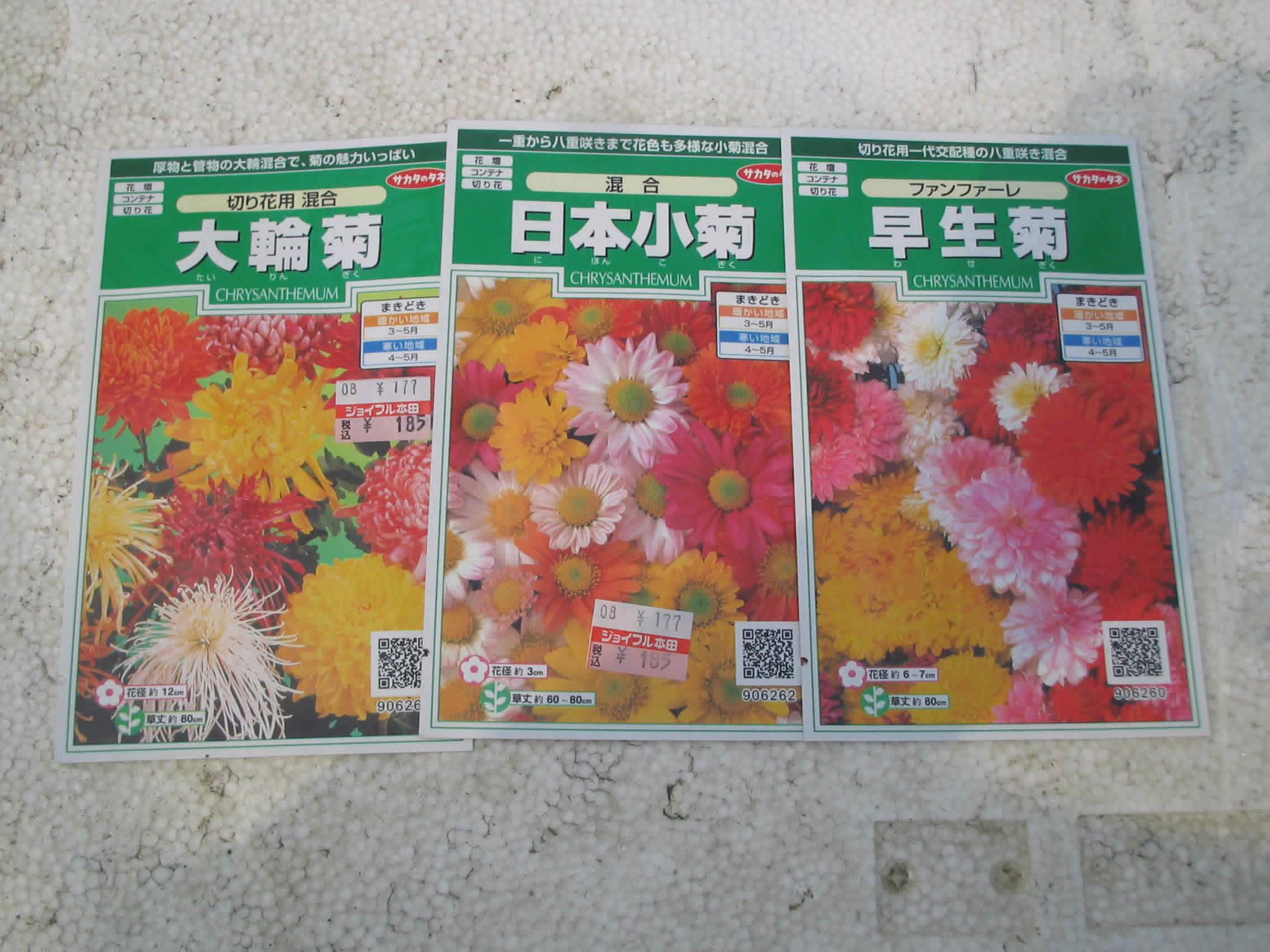 きままに百姓らいふ 菊の種まき1