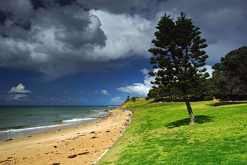 Cosy Corner, Zeally Bay, Torquay, Victoria, Australia IMG_2867_Torquay