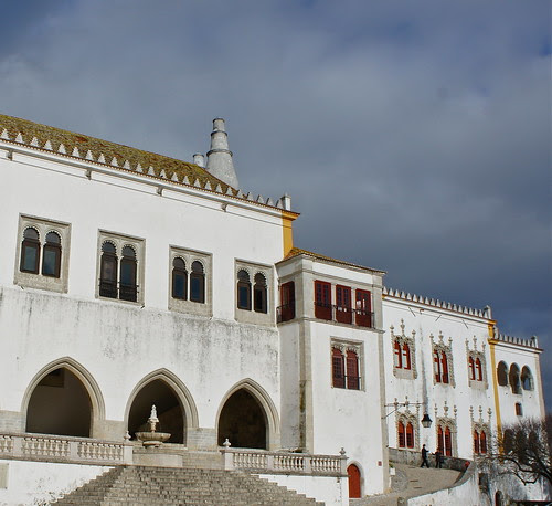 DSC05704
