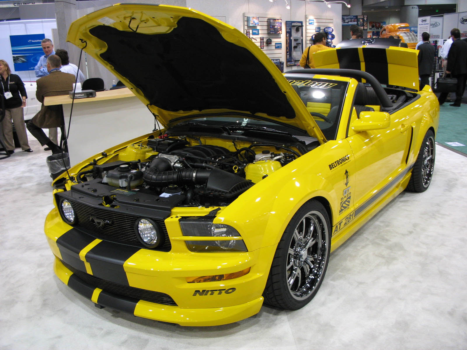 ford mustangs