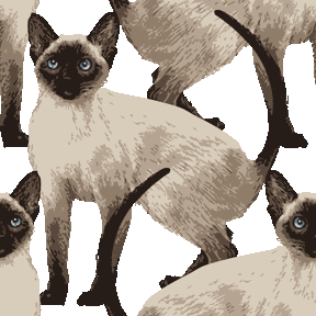 リアルタッチしゃむネコ No 369 りあるシャム猫の壁紙用イラスト 条件付フリー素材集 スマホなど携帯電話対応