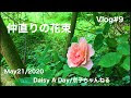 [10000印刷√] 仲直り 花束 242799-彼女 仲直り 花束