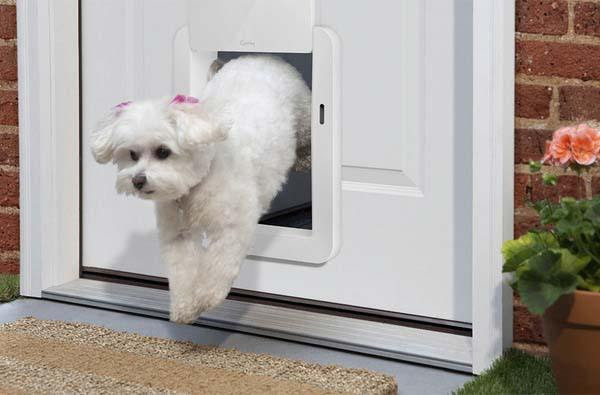 ... app-enabled pet door become reality, jump to Quirky official site for
