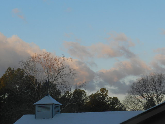 skywfDSCN3814