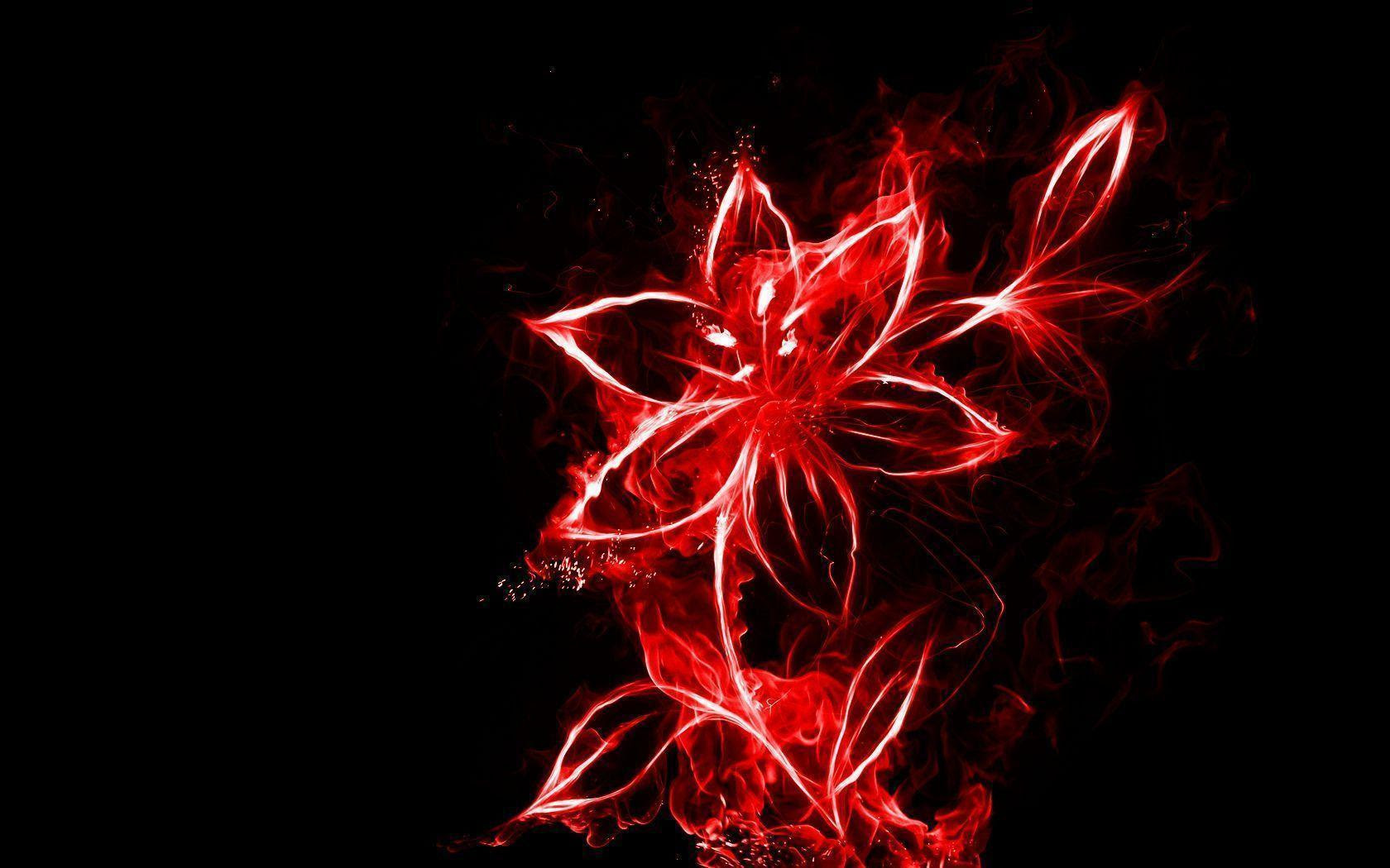 Fire Flowers Wallpapers HD | wallpaper.wiki