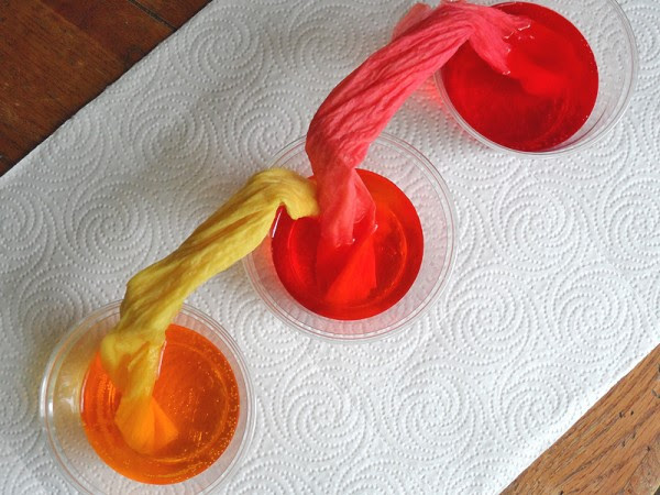 A Collection of Science Experiments for Kids