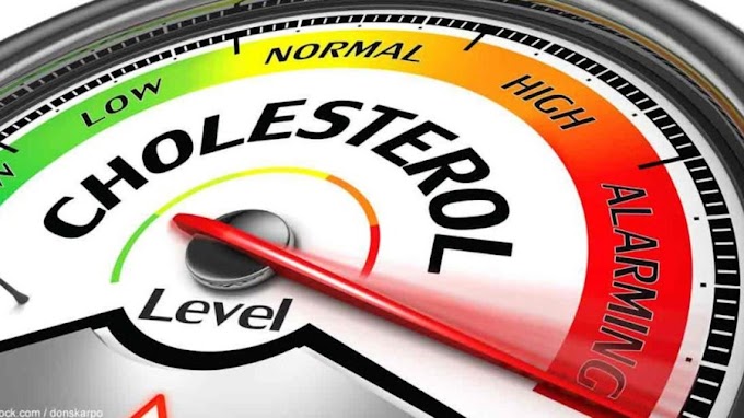 Will A Vasectomy Lower Testosterone Levels