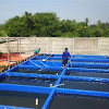 Proposal Budidaya Ikan Lele Kolam Terpal