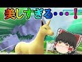 [10000ダウンロード済み√] ポニータ ギャロップ 色違い 997878-ポニータ ギャロップ 色違い