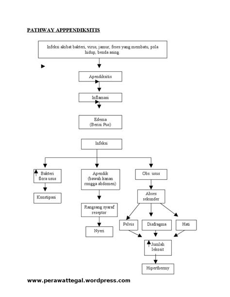Pathway Appendicitis