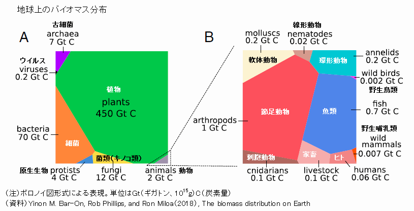 図録 地球上のバイオマス分布