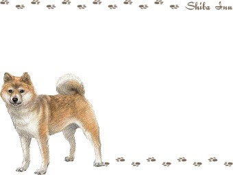 柴犬 豆柴 しばいぬ まめしば のイラスト 条件付フリー素材集