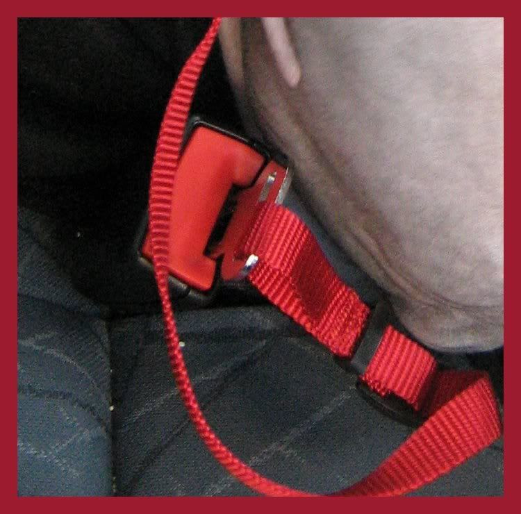 Seatbelt buckle Seatbelt buckle