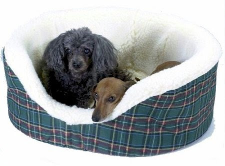 Detail image Snoozer Pet Couch, Large, Grey